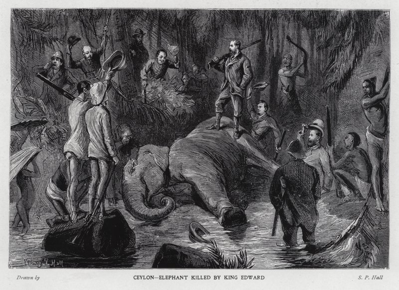Olifant gedood door Koning Edward VII door Sydney Prior (after) Hall