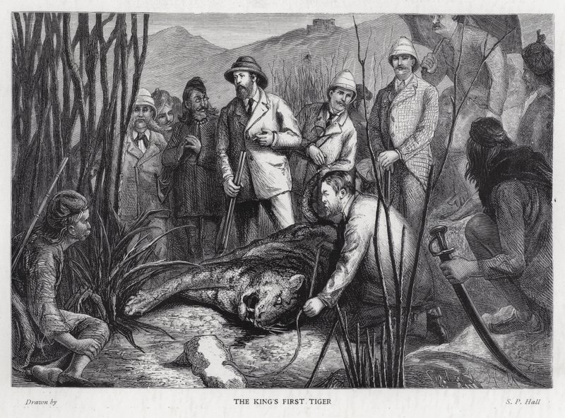 Koning Edward VII met de tijger die hij heeft gedood door Sydney Prior (after) Hall