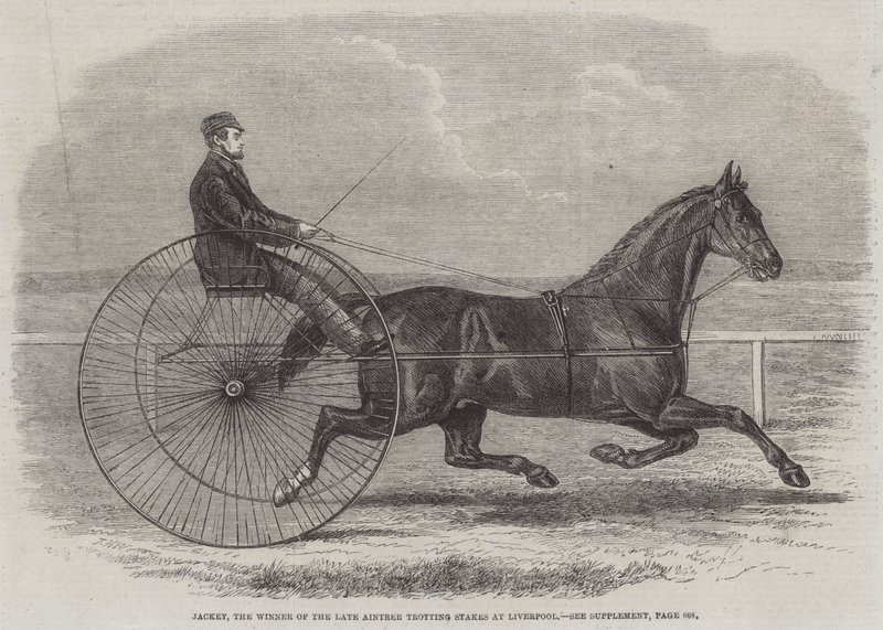 Jackey, de winnaar van de laatste Aintree Trotting Stakes in Liverpool door Thomas Harrington Wilson