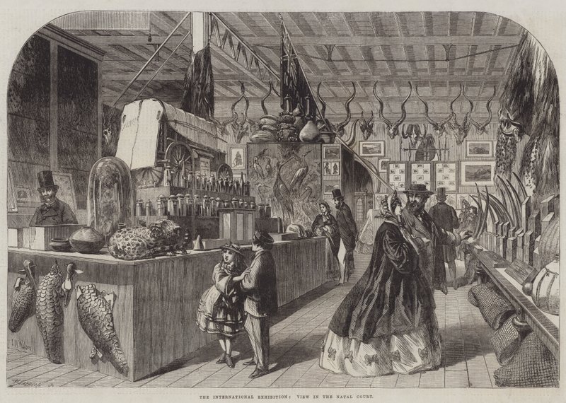 De Internationale Tentoonstelling, Uitzicht in de Natal Court door Thomas Harrington Wilson