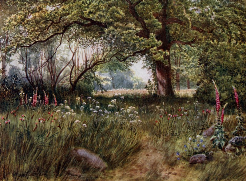 Kew Gardens: In de Tuinen van het Koningin