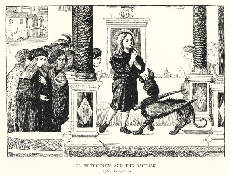 St Tryphonius en de Basilisk (gravure) door Vittore (after) Carpaccio