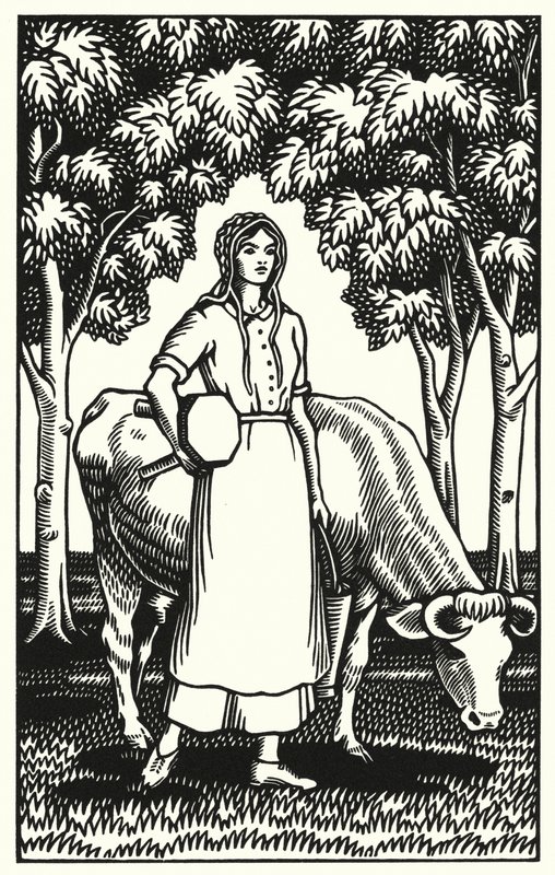 Illustratie voor Tess Of The D