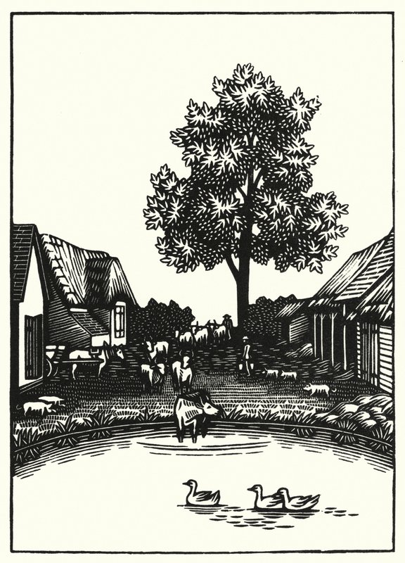 Illustratie voor Tess Of The D