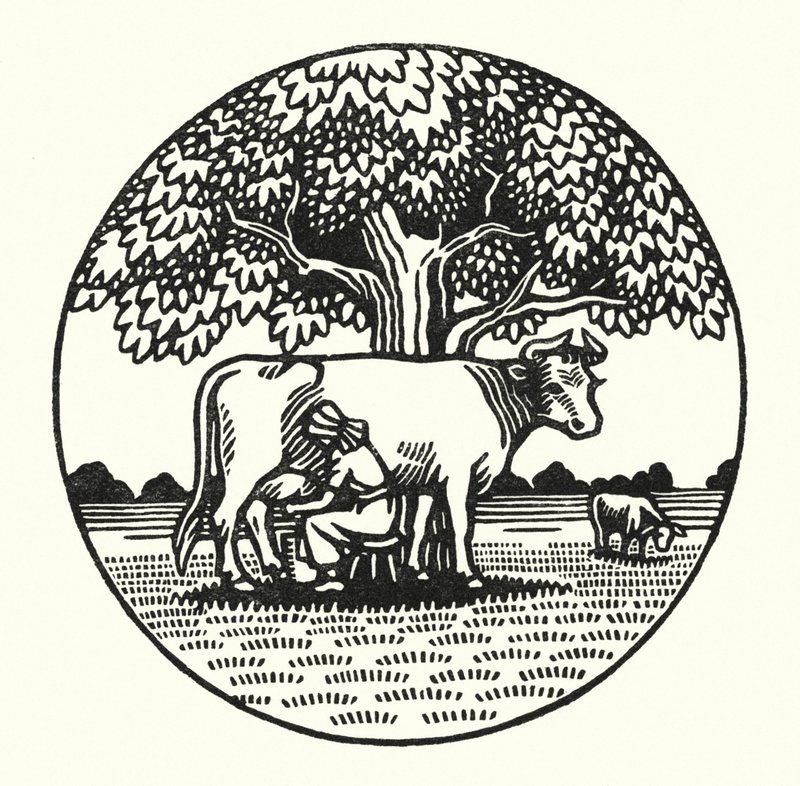 Illustratie voor Tess Of The D