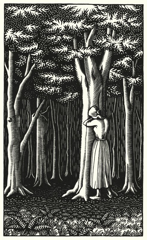 Illustratie voor Tess Of The D