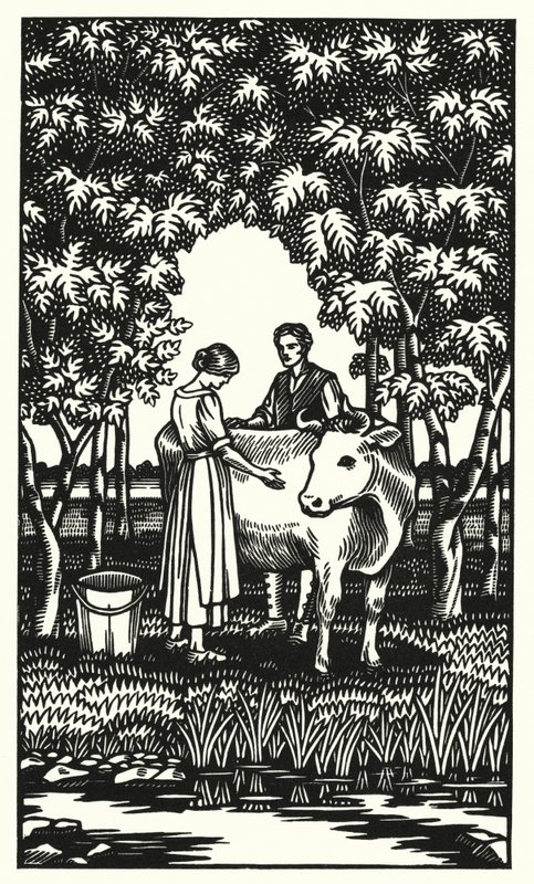 Illustratie voor Tess Of The D