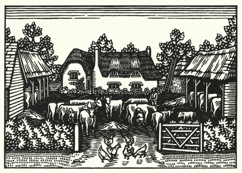 Illustratie voor Tess Of The D