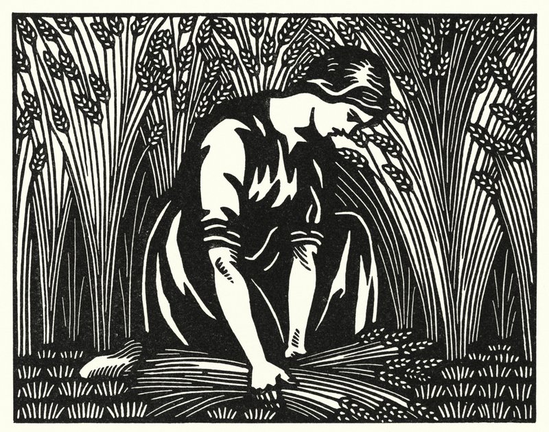 Illustratie voor Tess Of The D