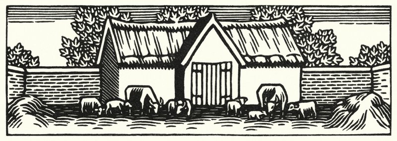 Illustratie voor Tess Of The D’Urbervilles door Thomas Hardy door Vivien Gribble