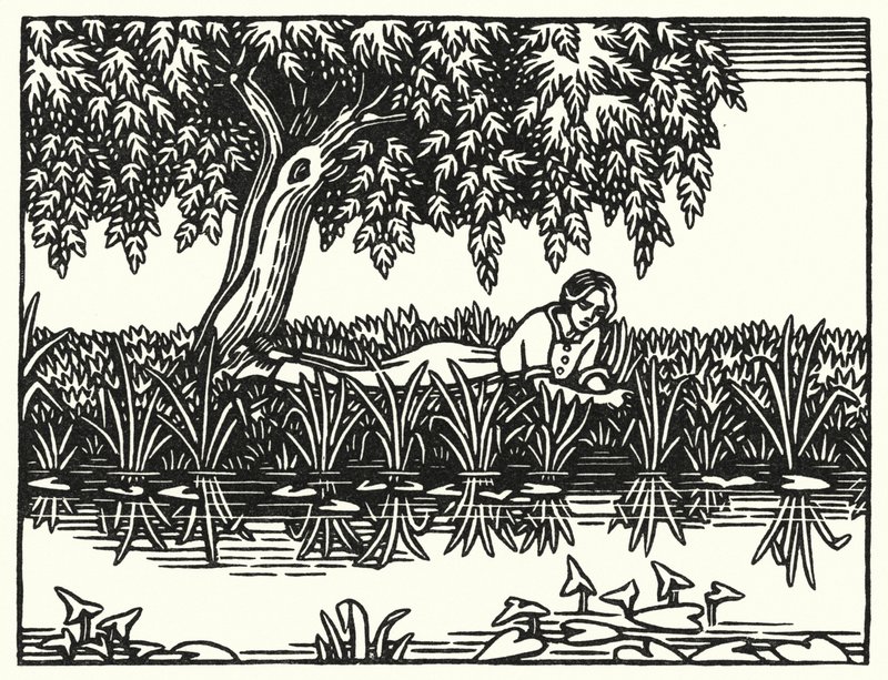Illustratie voor Tess Of The D’Urbervilles door Thomas Hardy door Vivien Gribble