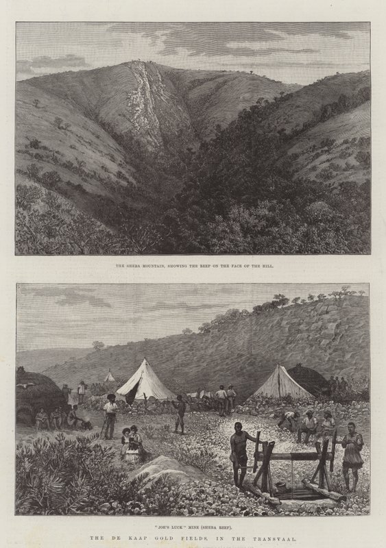 De De Kaap Goudvelden, in de Transvaal door Walter Paget