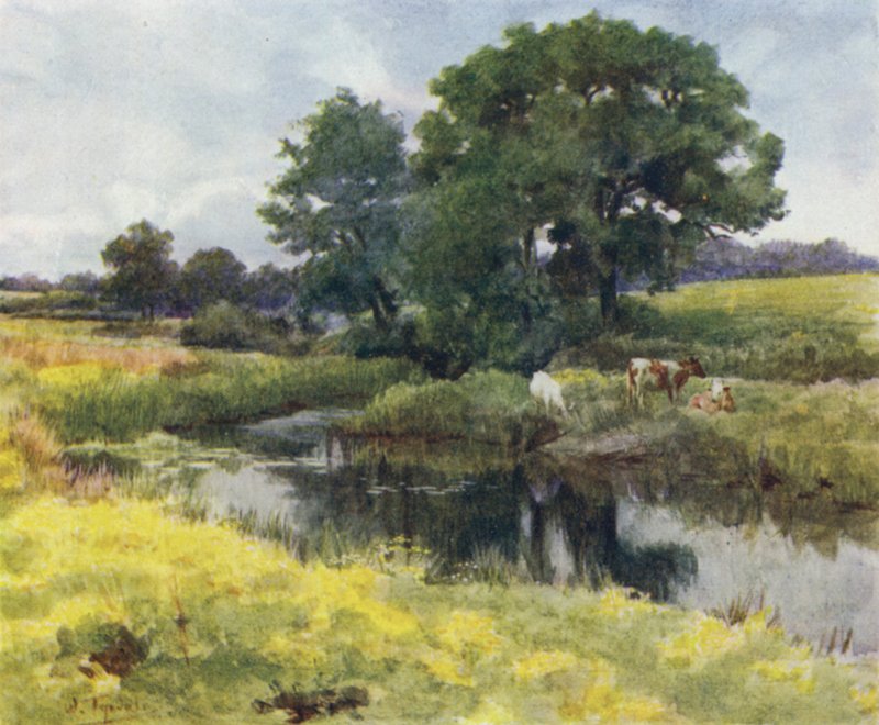 Het New Forest: Aan de Lymington Rivier door Walter Frederick Roofe Tyndale
