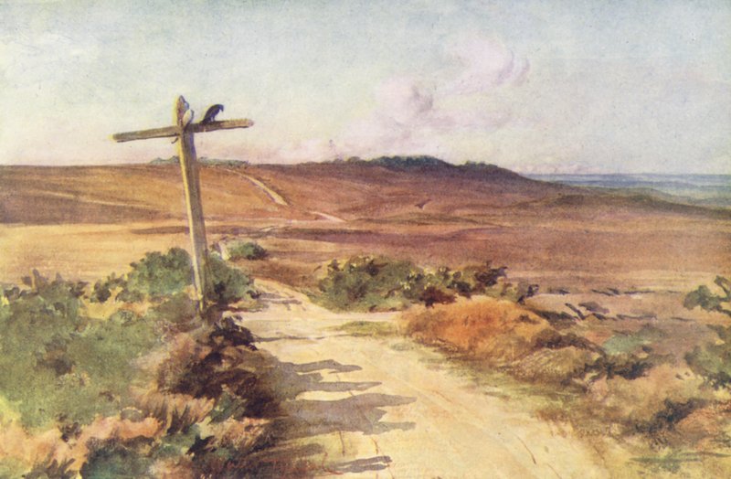 Wessex: Bere Heath in de herfst, met Gallows Hill in de verte door Walter Frederick Roofe Tyndale
