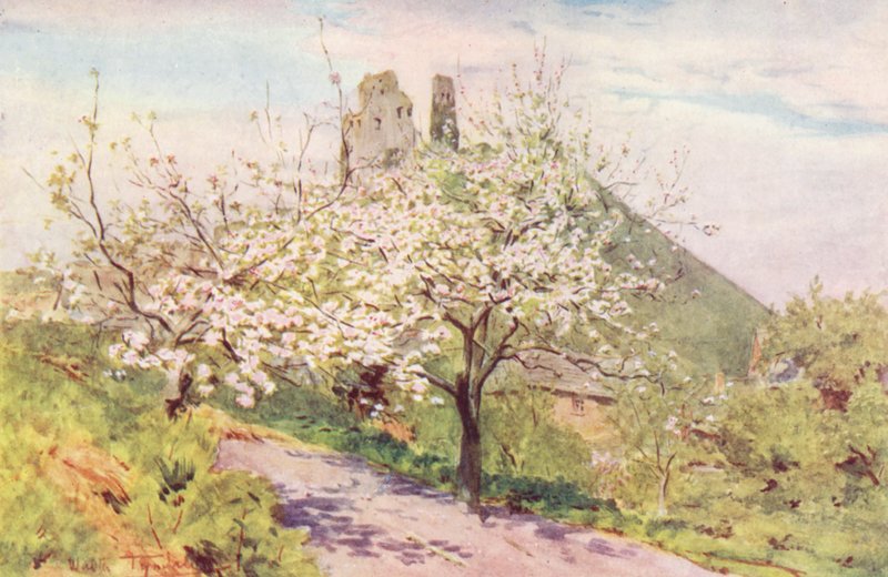 Wessex: Lente in Wessex door Walter Frederick Roofe Tyndale