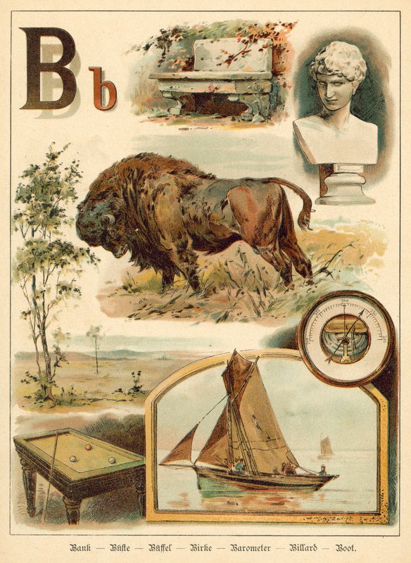 Letter B door Walter Zweigle
