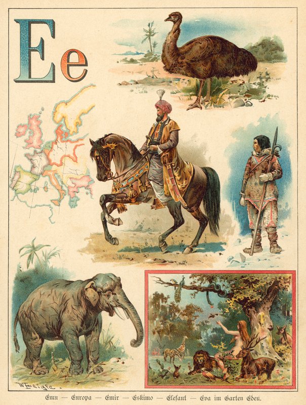 Letter E door Walter Zweigle
