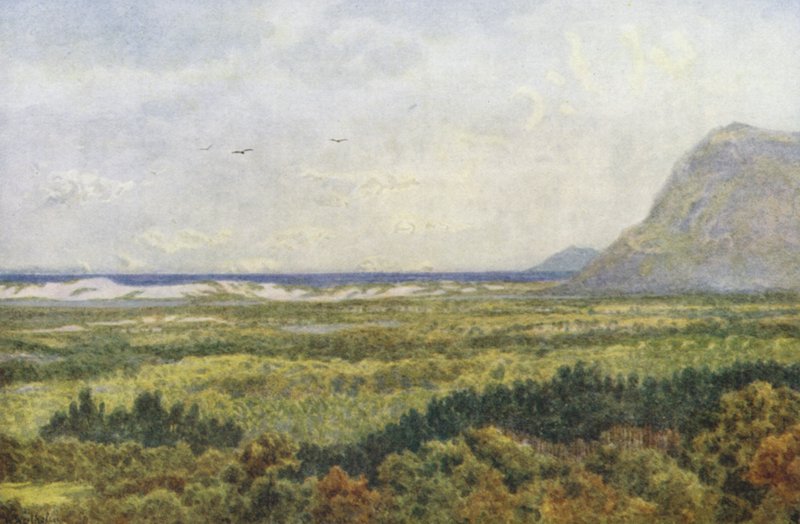Constantia Vallei en Valsbaai, met Kaap Punt door Wilhelm Westhofen
