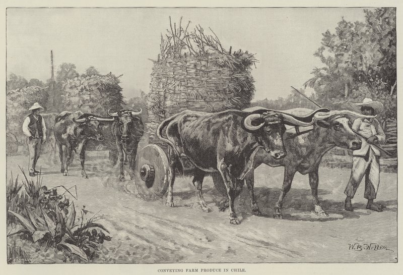 Vervoer van Boerderijproducten in Chili door William Barnes Wollen