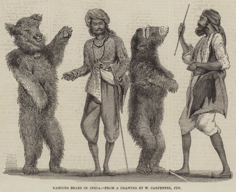 Dansende beren in India door William Carpenter