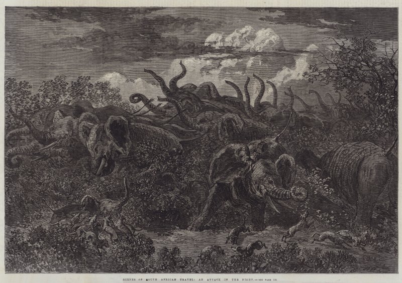 Scènes van Zuid-Afrikaanse reizen, een aanval in de nacht door William James Linton