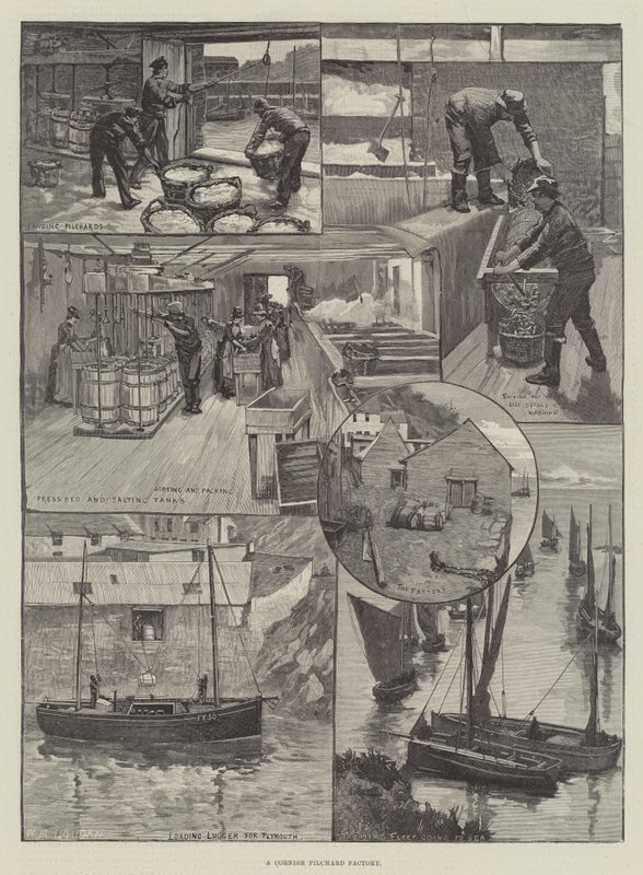 Een Cornish Sardinefabriek door William Mouat Loudan