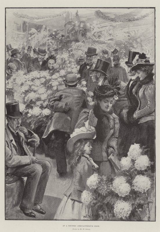 Op een Plattelandse Chrysanten Show door William Rainey