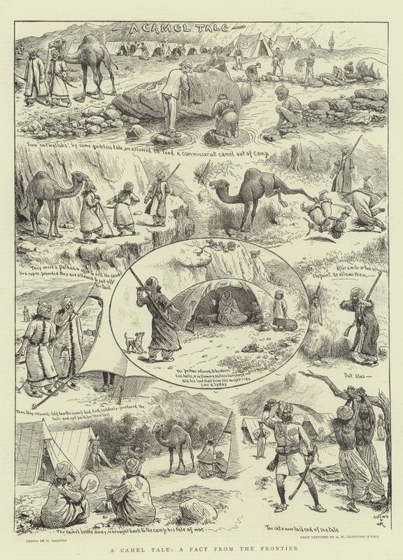 Een kameelverhaal, een feit van de grens door William Ralston