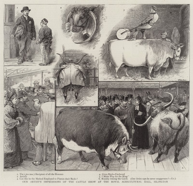 De indrukken van onze kunstenaar van de veeshow in de Royal Agricultural Hall, Islington door William Ralston