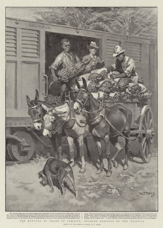De heropleving van de handel in Jamaica, bananen laden op de spoorweg door William T. Maud