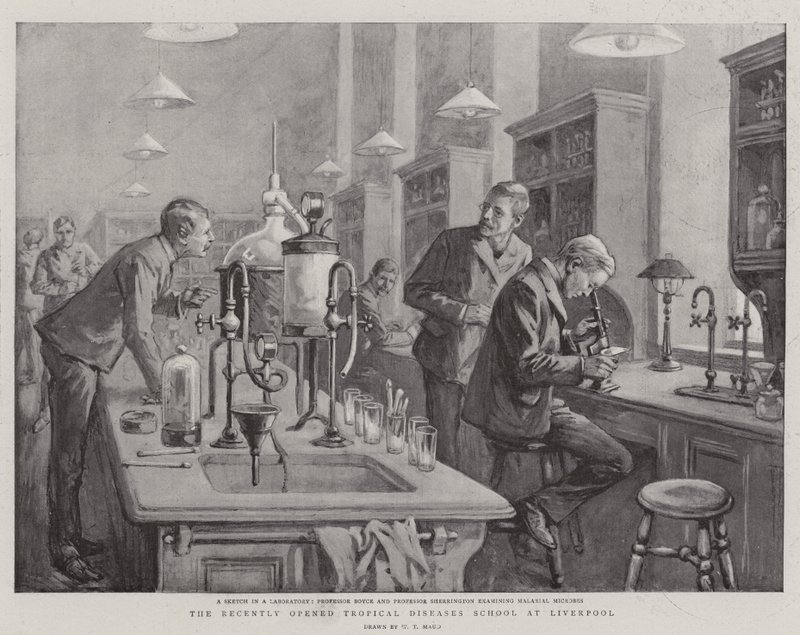 De onlangs geopende School voor Tropische Ziekten in Liverpool door William T. Maud