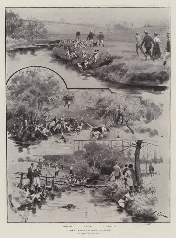 Een Dag met de Culmstock Otter Honden door William Barnes Wollen