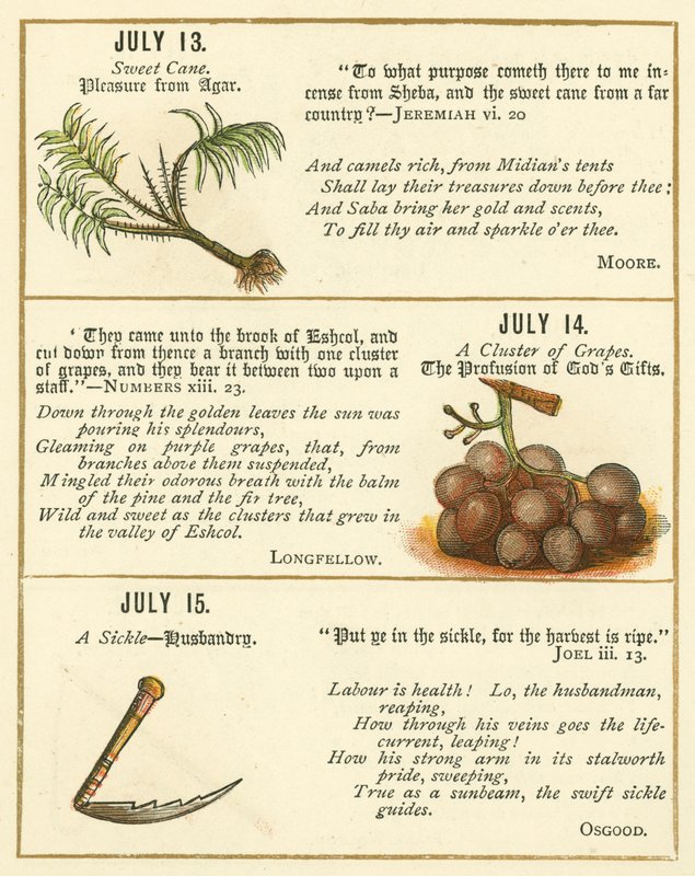 Pagina uit The Bible Emblem Anniversary Book door William Foster