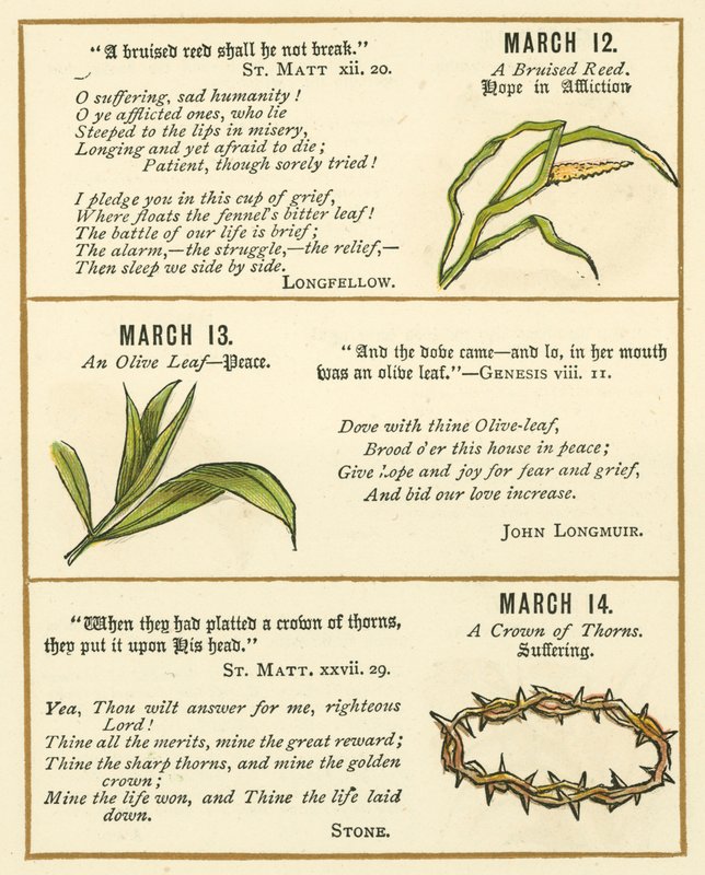 Pagina uit The Bible Emblem Anniversary Book door William Foster