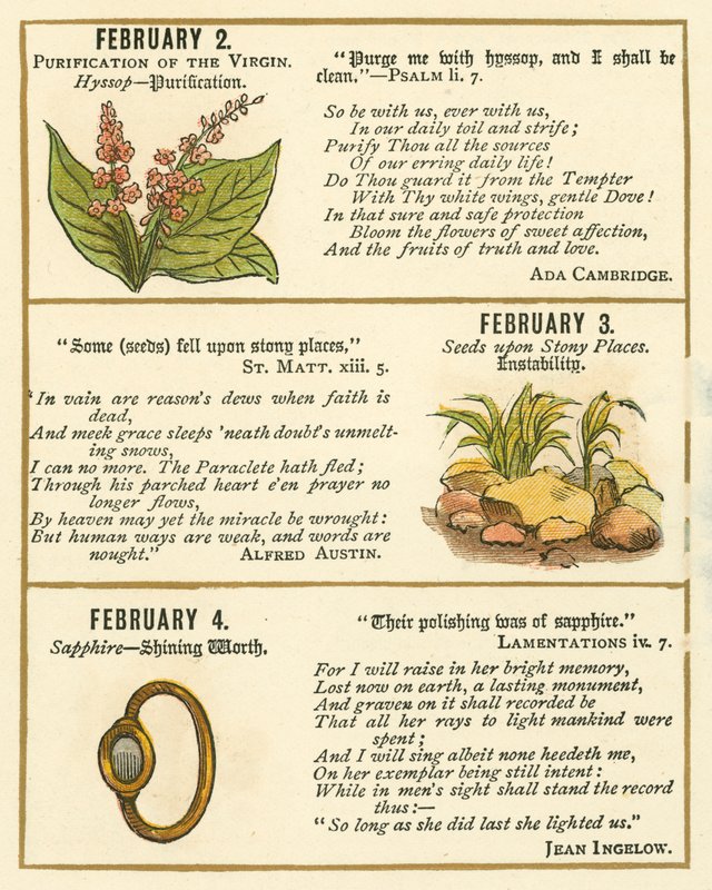 Pagina uit The Bible Emblem Anniversary Book door William Foster