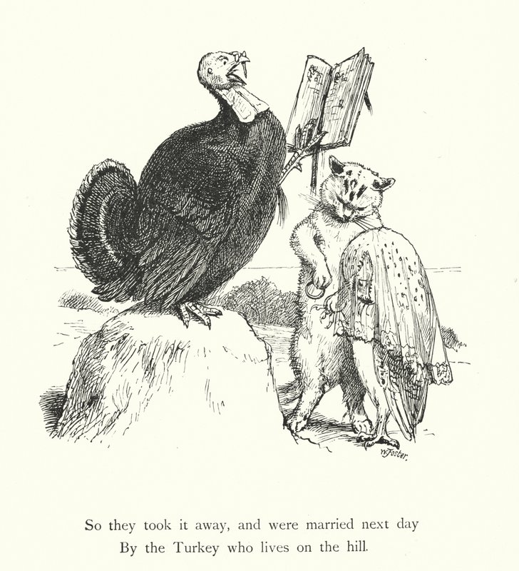 De uil en de poes door William Foster