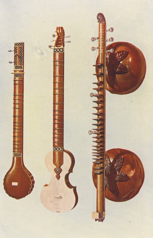 Muziekinstrumenten: Sitars en Vina door William Gibb