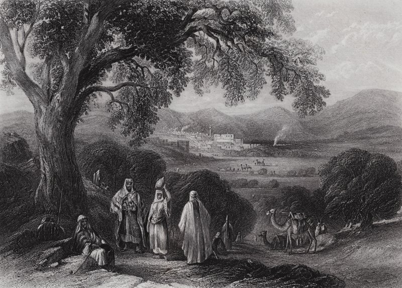 Vallei van Nazareth door William H. Bartlett
