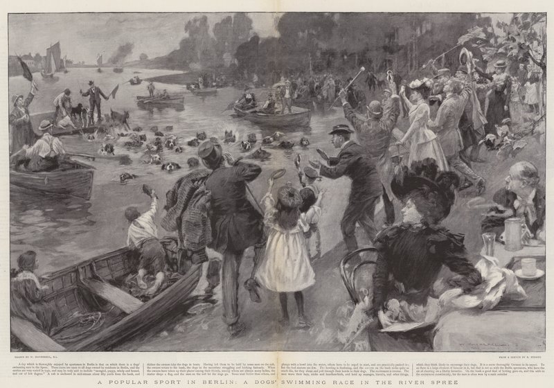 Een Populaire Sport in Berlijn, een Hondenzwemwedstrijd in de Rivier Spree door William Hatherell