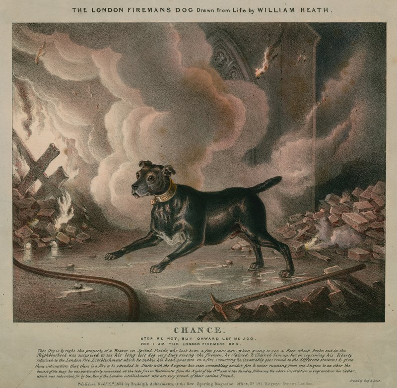 De hond van de Londense brandweerman door William Heath