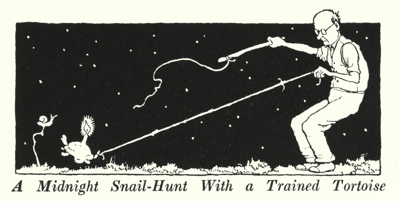 Een Middernachtelijke Slakkenjacht Met een Getrainde Schildpad door William Heath Robinson