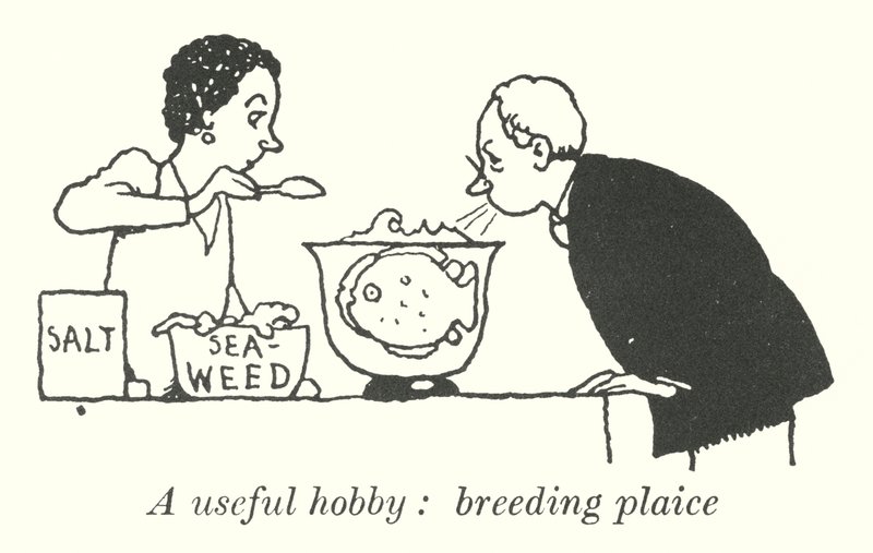 Een nuttige hobby, het kweken van schol (litho) door William Heath Robinson