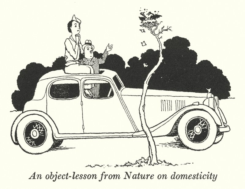 Een les van de natuur over huiselijkheid (litho) door William Heath Robinson