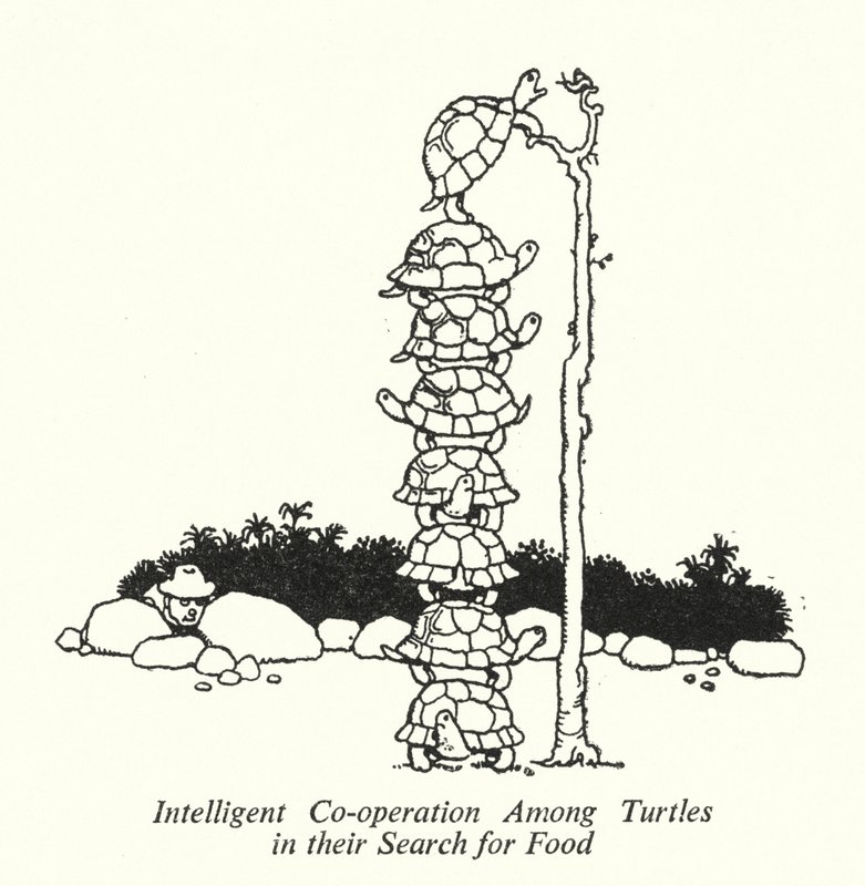 Intelligente Samenwerking Onder Schildpadden bij hun Zoektocht naar Voedsel door William Heath Robinson
