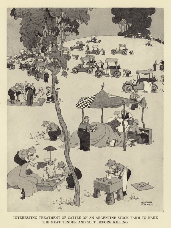 Interessante behandeling van vee op een Argentijnse boerderij om het vlees mals en zacht te maken voor het slachten door William Heath Robinson