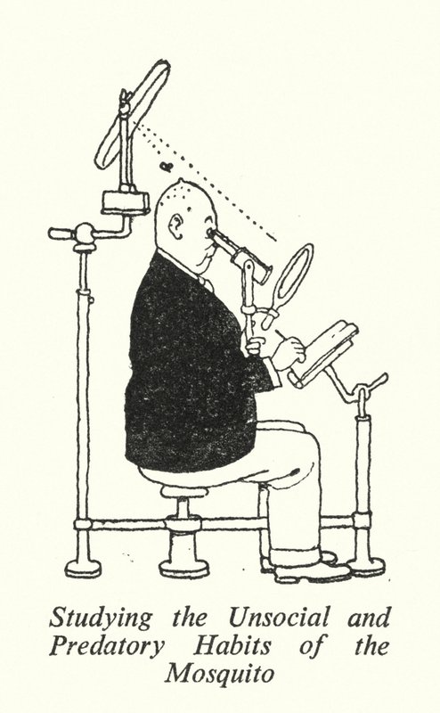 De Asociale en Roofzuchtige Gewoonten van de Mug Bestuderen (litho) door William Heath Robinson