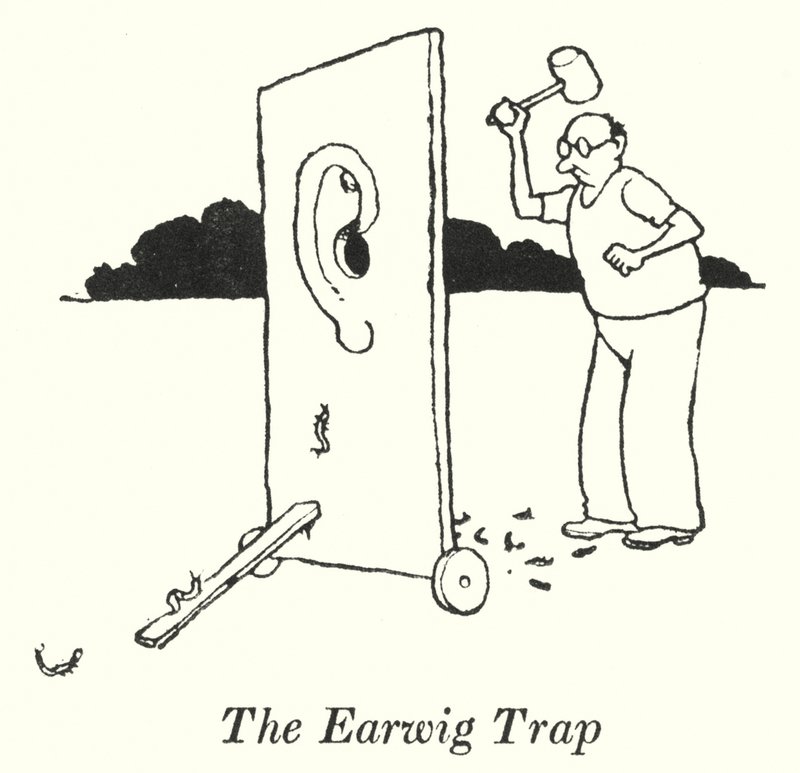 De Oorwormval door William Heath Robinson