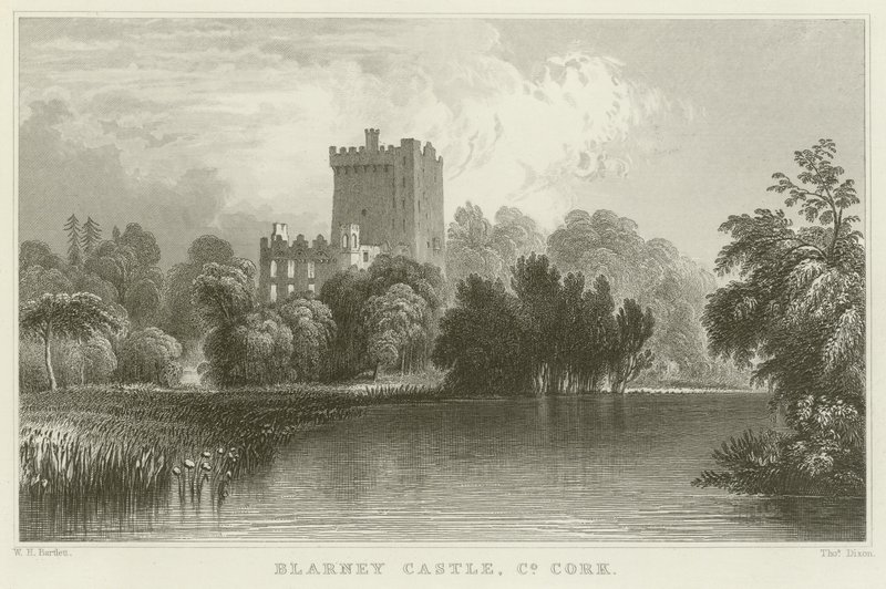 Blarney Castle in County Cork door William Henry Bartlett