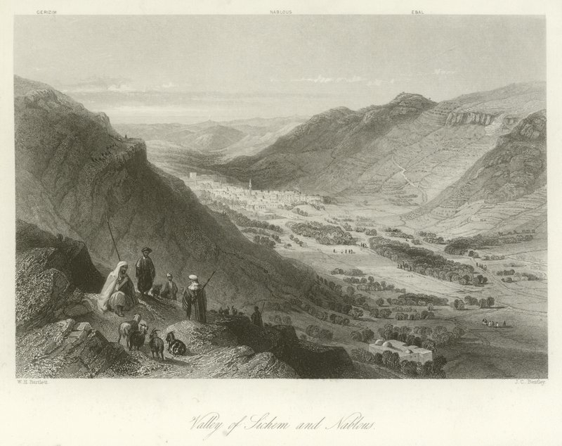 Vallei van Sichem en Nablus, Palestina door William Henry Bartlett
