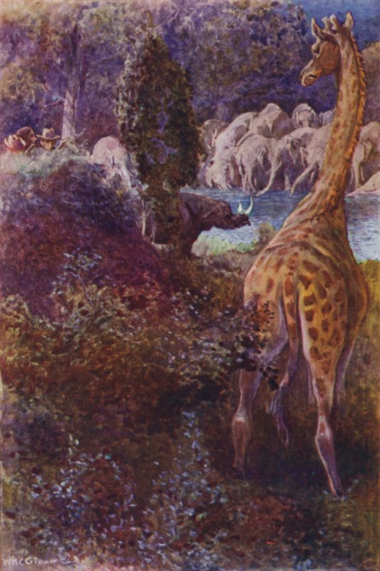 Illustratie voor The Gorilla Hunters door R M Ballantyne door William Henry Charles Groome
